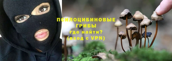 первитин Армянск